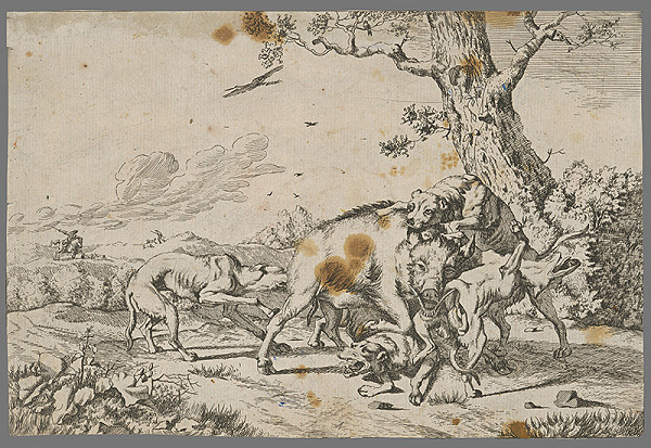 Stredoeurópsky maliar z 18. storočia – Poľovačka na diviaka 