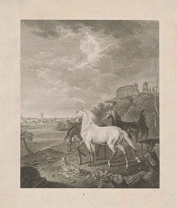 Stredoeurópsky maliar z 19. storočia – Kone 