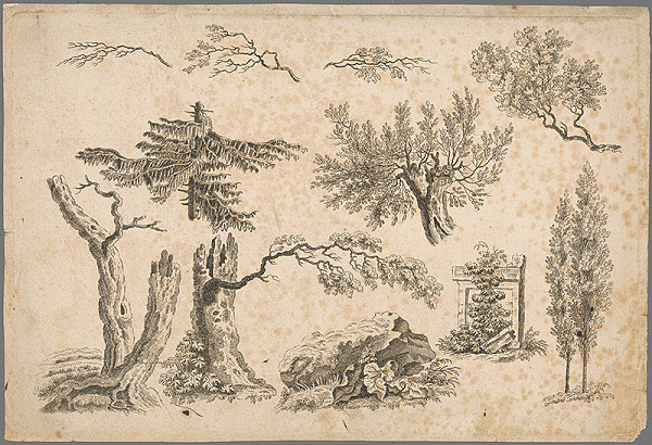 Stredoeurópsky maliar z 19. storočia – Rôzne druhy stromov 