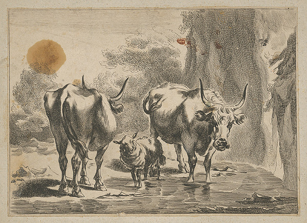 Stredoeurópsky maliar z 18. storočia – Napájanie kráv 