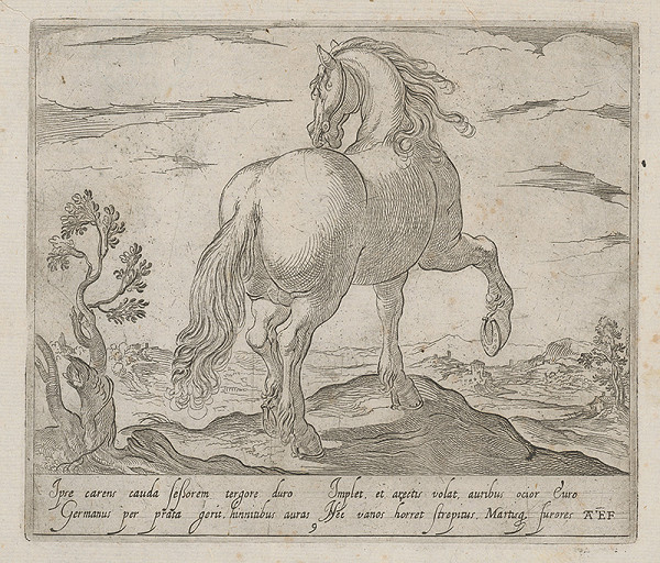 Antonio Tempesta – Kôň 