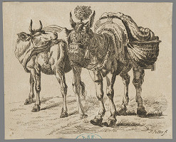 Paulus Potter – Osol a krava 