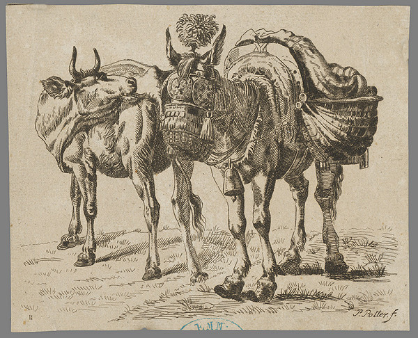 Paulus Potter – Osol a krava 