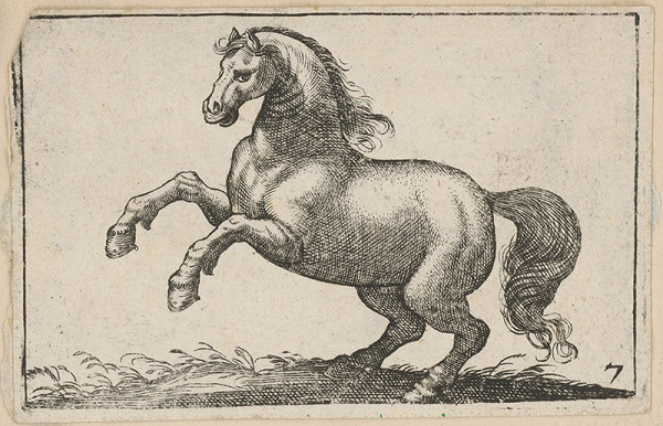 Stredoeurópsky maliar z 18. storočia – Kôň 