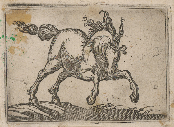 Stredoeurópsky maliar z 18. storočia – Kôň 