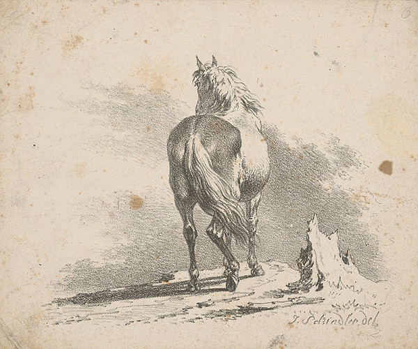 Johann Josef Schindler – Kôň 
