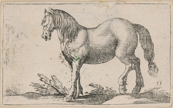 Stredoeurópsky grafik z 18. storočia – Kôň 