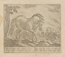 Antonio Tempesta – Kôň 