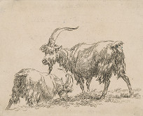 Nicolaes Claes Berchem st. – Kozy 