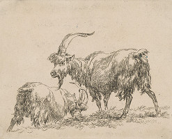 Nicolaes Claes Berchem st. – Kozy 