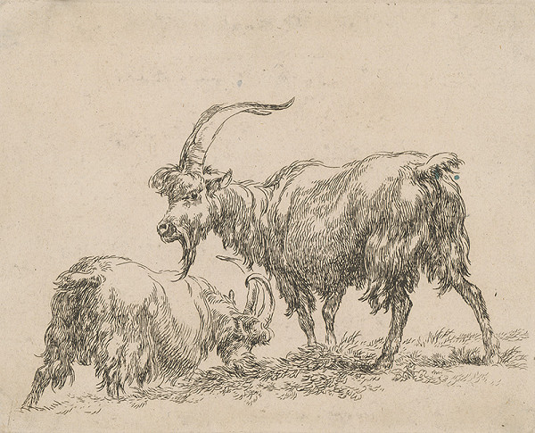 Nicolaes Claes Berchem st. – Kozy 