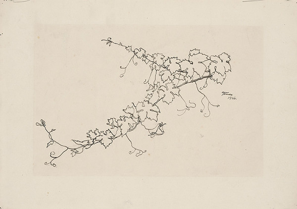 Jindřich Tomec – Vinič 