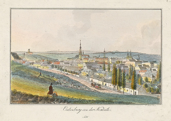 Johann Vincenz Reim – Šoproň zo severu 