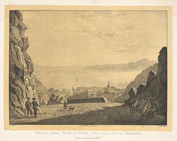 Jakob Alt, A.C. von Mayr – Pohľad na mesto Rjeku 