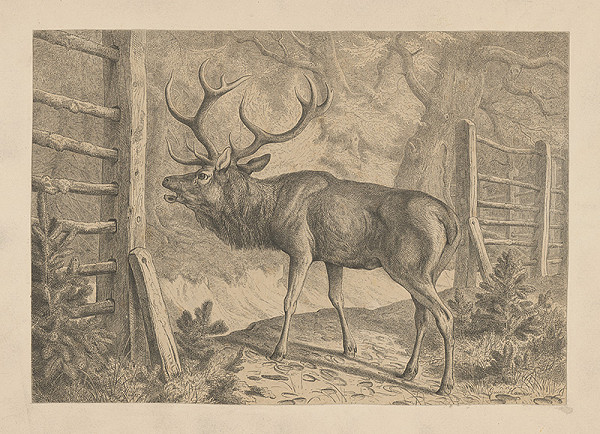 Edmund Quido Hammer – Rujúci jeleň 