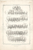 Matthias Rudolf Toma – Messerschmidtove charakterové hlavy 