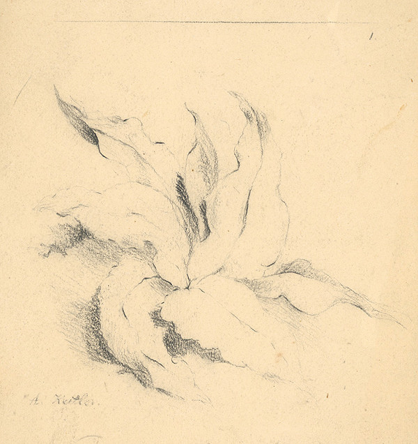 Albert Kindler – Kosatec 