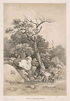 Jean Jacottet, Adolphe Jean Baptiste Bayot – Odpočinok 