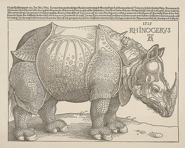 Albrecht Dürer – Rhinocerus 
