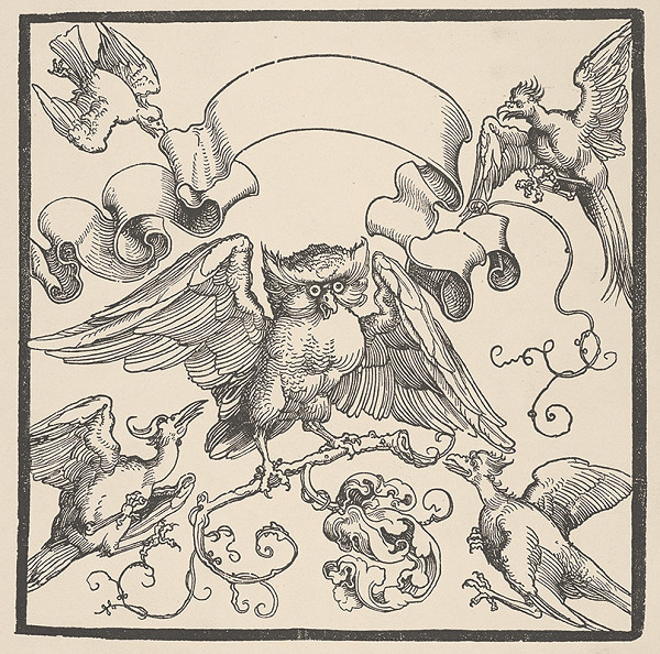 Albrecht Dürer – Vtáci 