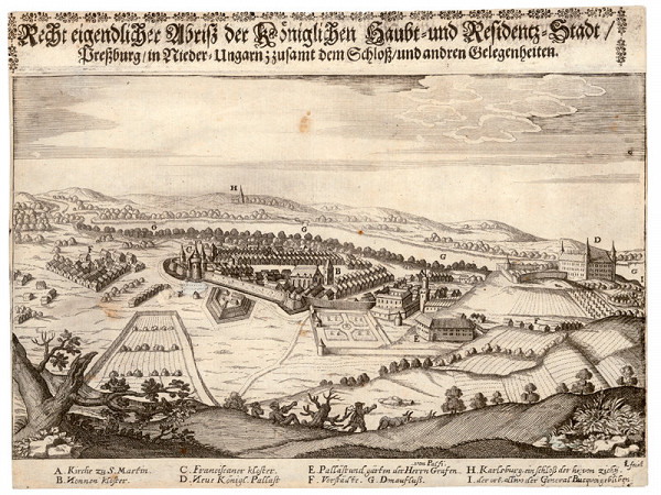 Lucas Schnitzer, Giuseppe Priami – Pohľad na Bratislavu zo severu 