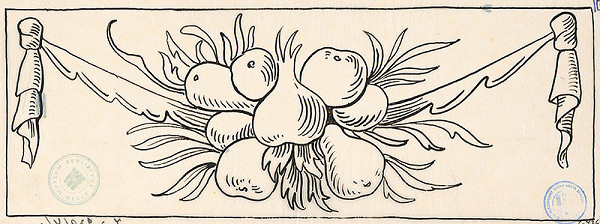 Karol Frech – Náčrt ozdoby z rakvy Fuggerovej v Dóme - ovocný feston 