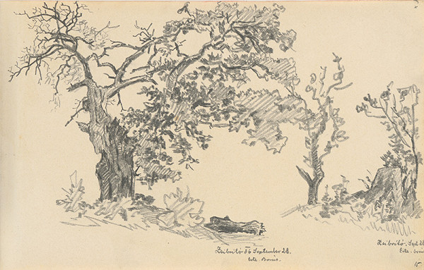 Gejza Bošácky – List č. 15 