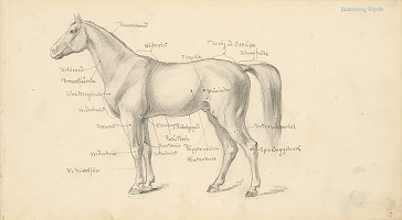 Alojz Rigele – List zo skicára č.2 