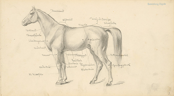 Alojz Rigele – List zo skicára č.2 