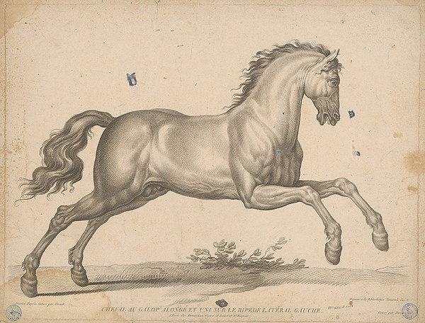 Gilles Antoine Demarteau, Claude-Joseph Vernet – Kôň 