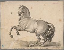 Gilles Antoine Demarteau, Claude-Joseph Vernet – Kôň 