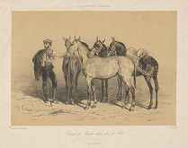 François Hippolyte Lalaisse – Skupina mulíc na poludnie 