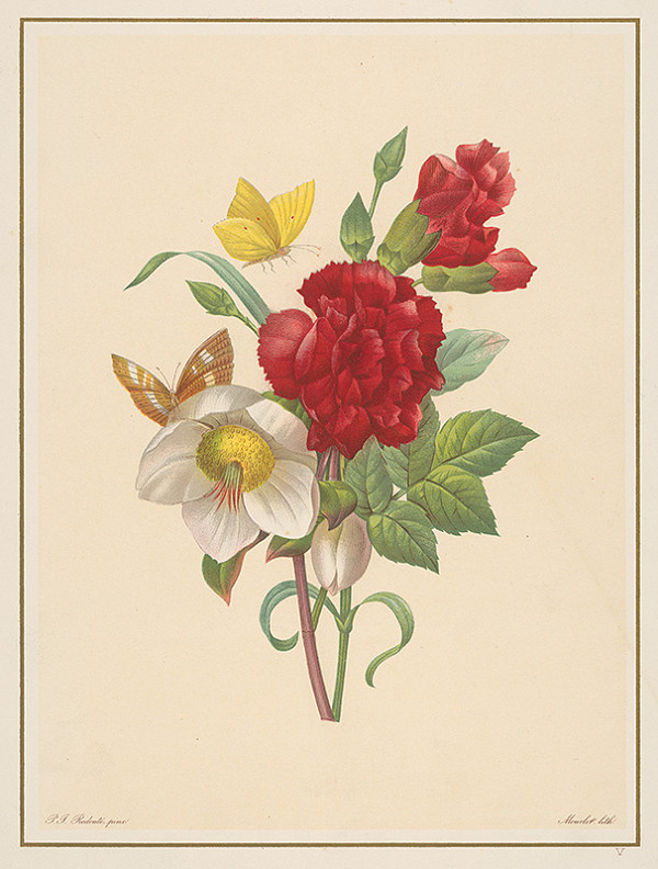 Alphonse Jean Baptista Mourlot, Pierre Joseph Redoute – Kvety a motýle 