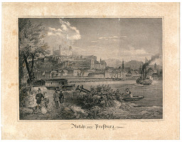 Fritz Werner – Bratislava v 19.storočí-pohľad z juhu 