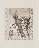 Josef Frank – Ex libris Erny Carmen 