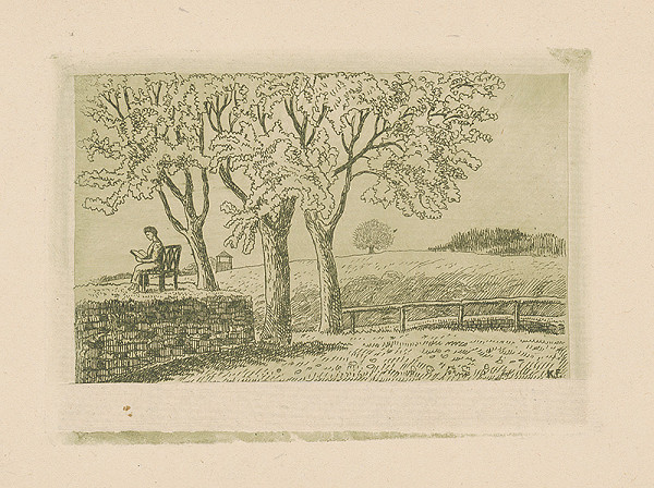 Karol Frech – V záhrade 