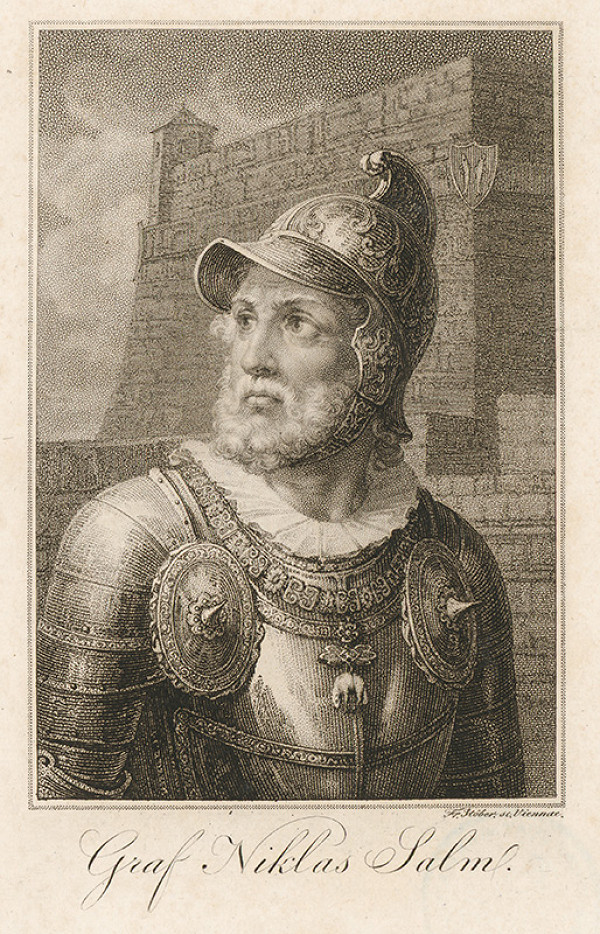 Franz Stöber – Portrét grófa Mikuláša Salma 