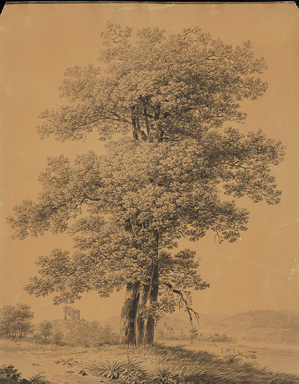 Jakob Alt – Krajina zo západného Slovenska 