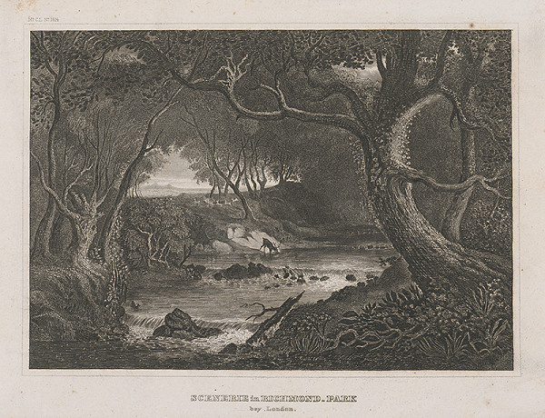 Nemecký grafik z 19. storočia – Scenéria z Richmondského parku 