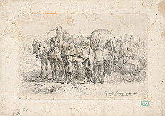 Johann Adam Klein – Povoz z Dolnej zeme 