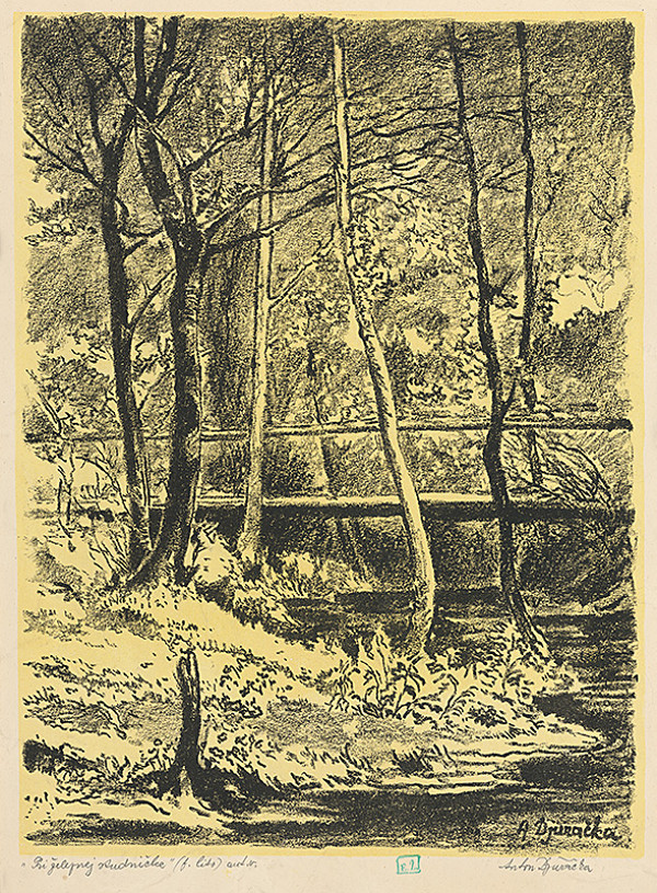 Anton Djuračka – Pri železnej studničke 