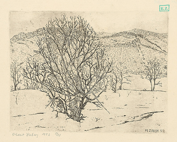 Orest Dubay – Pri Pezinku 