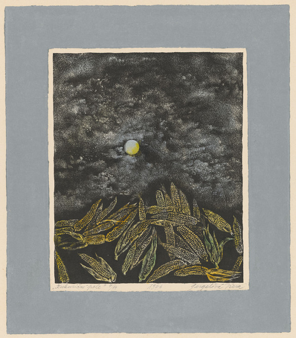 Viera Gergeľová – Kukuričné pole 