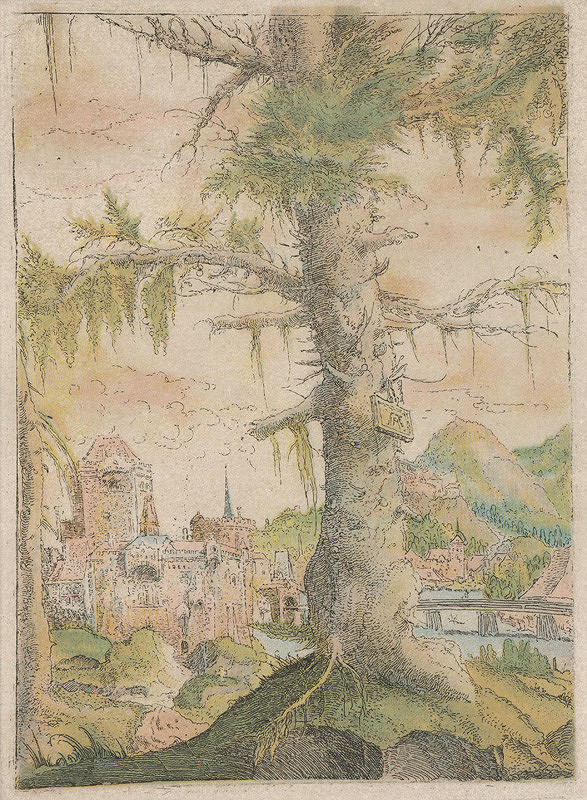 Albrecht Altdorfer, Alsaský majster – Krajina 
