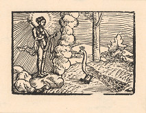 Profesionálny rezač štočkov, Hans Wolff Glaser, Wolfgang Strauch, Hans Weigel – O pávovi bohyne Juno a o slávičkovi 