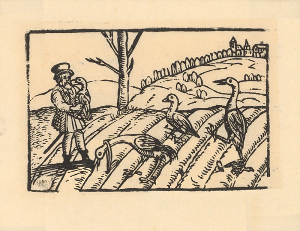 Profesionálny rezač štočkov, Hans Wolff Glaser, Wolfgang Strauch, Hans Weigel – Labuť