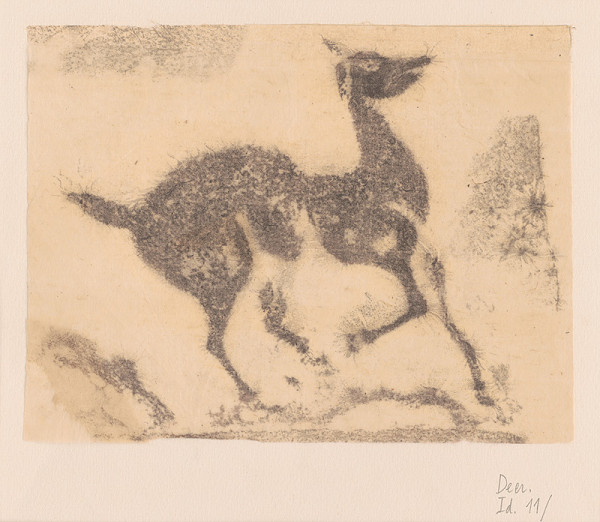 thi My Tran – Jeleň 