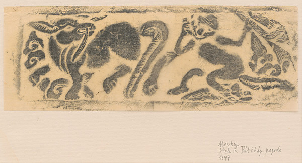 thi My Tran – Opica 