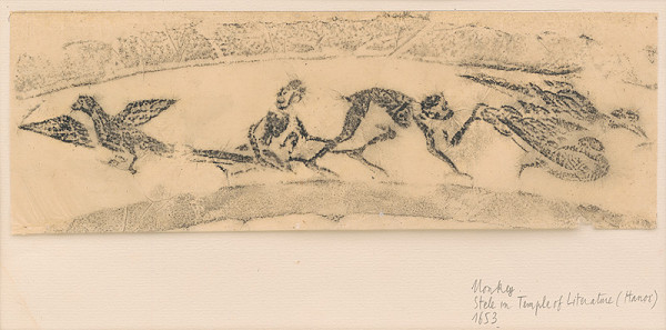 thi My Tran – Opice a vtáky 