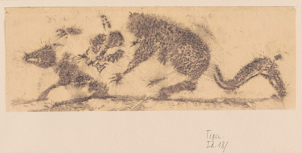 thi My Tran – Tiger 